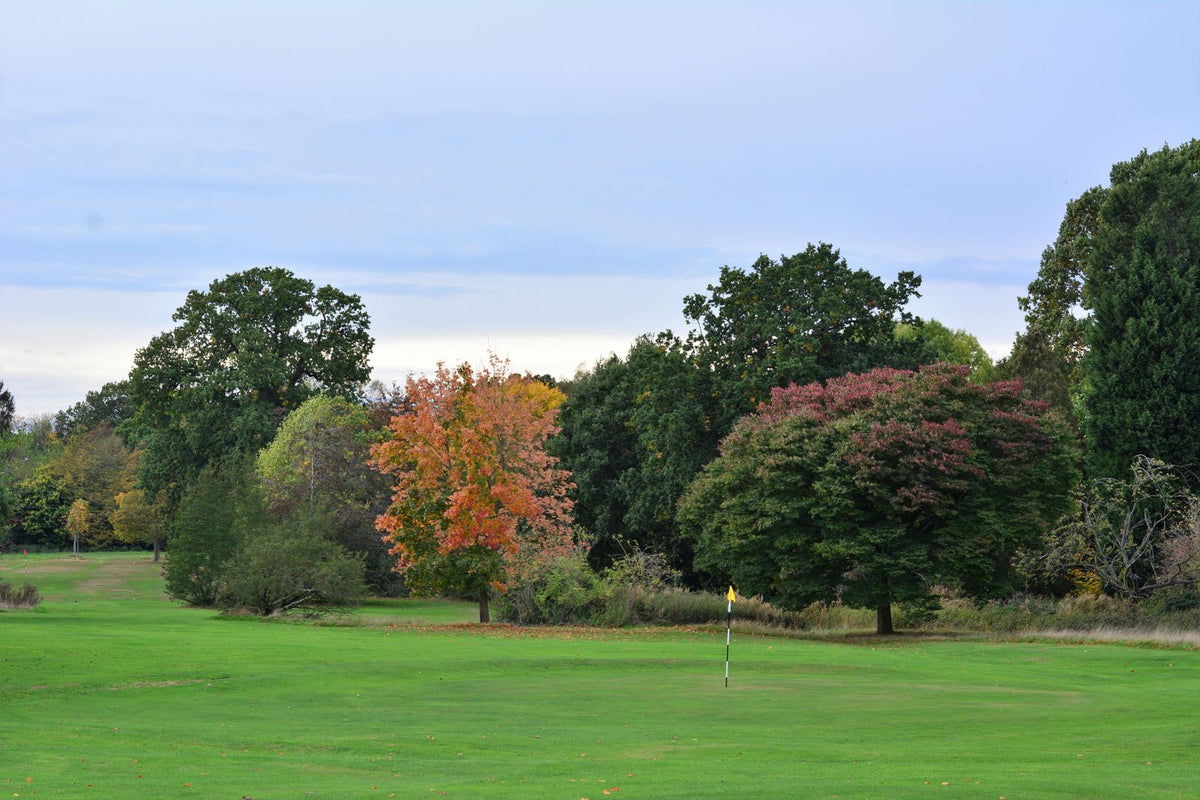 Parcours de golf aux couleurs d'automne