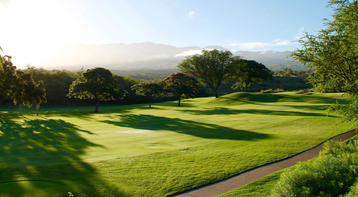 Parcours de golf panoramique baigne de lumiere